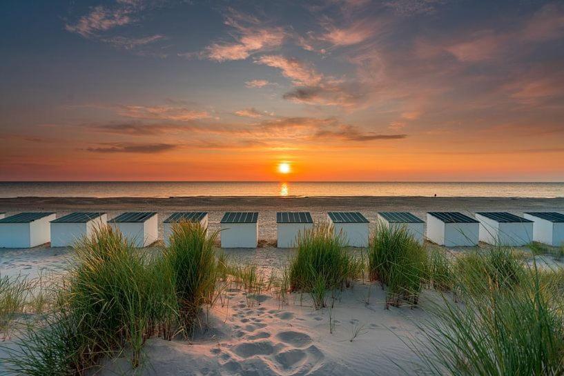 Beautifull House Beach Life 47 De Cocksdorp  Exterior foto